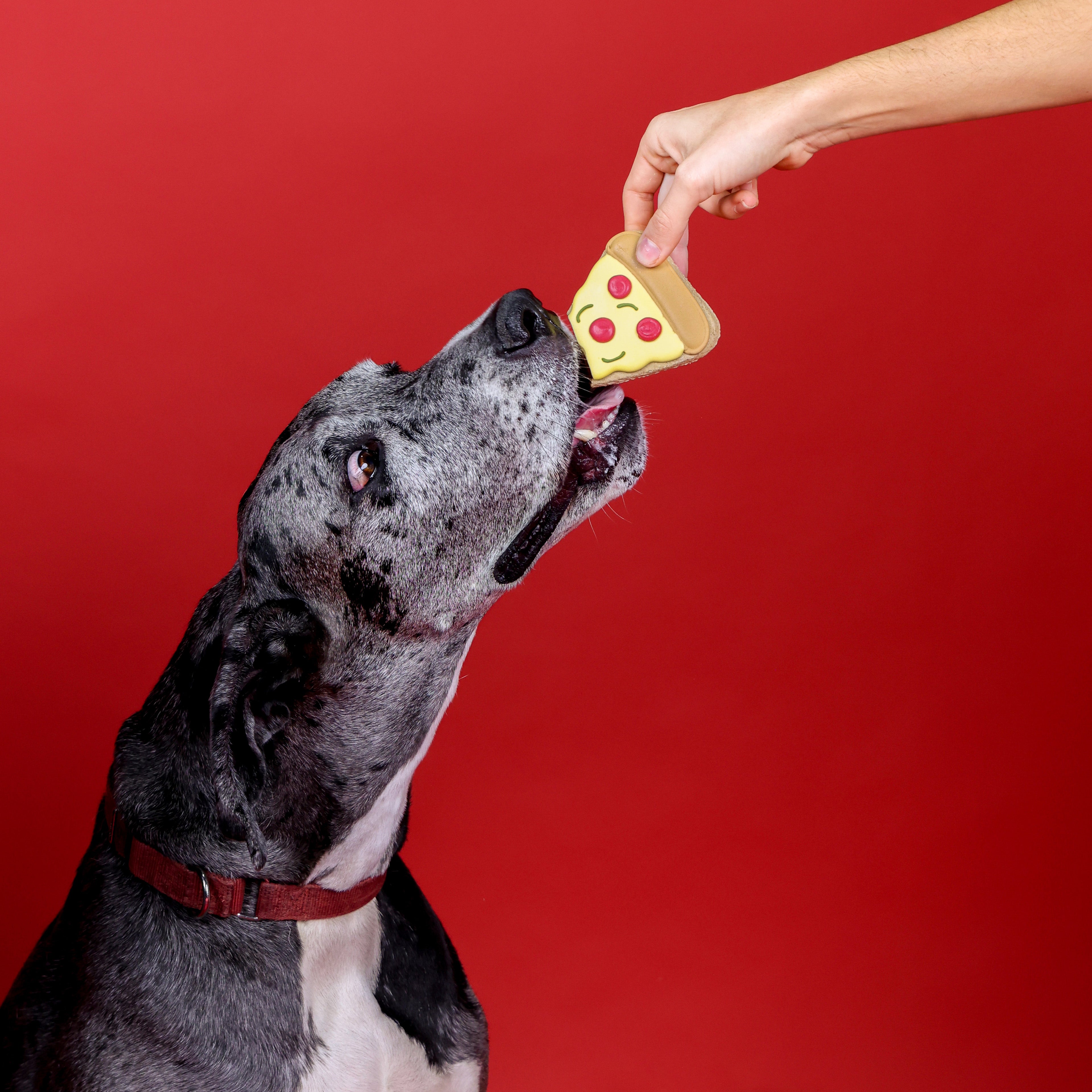 Off the Menu Dog Treats