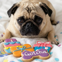 Gotcha Day Dog Treats 20pcs