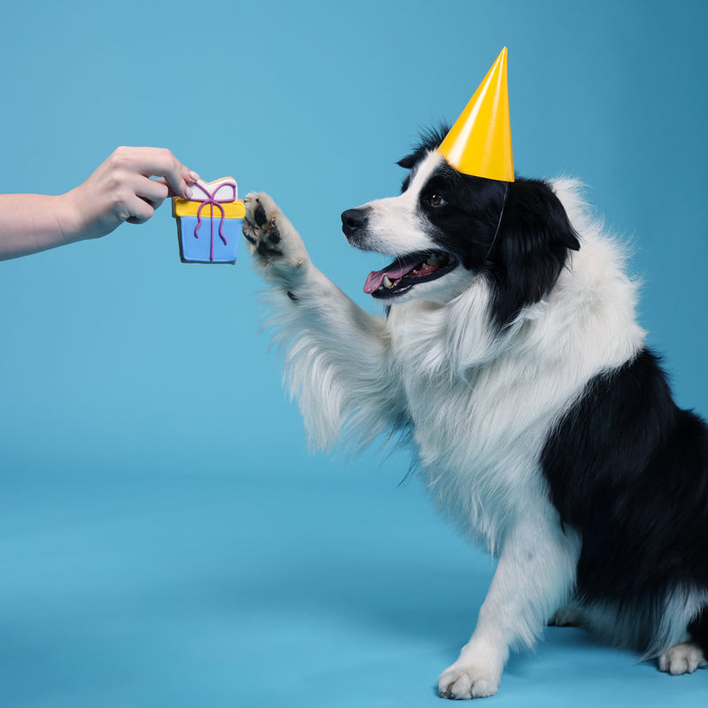 Happy Birthday Dog Treats