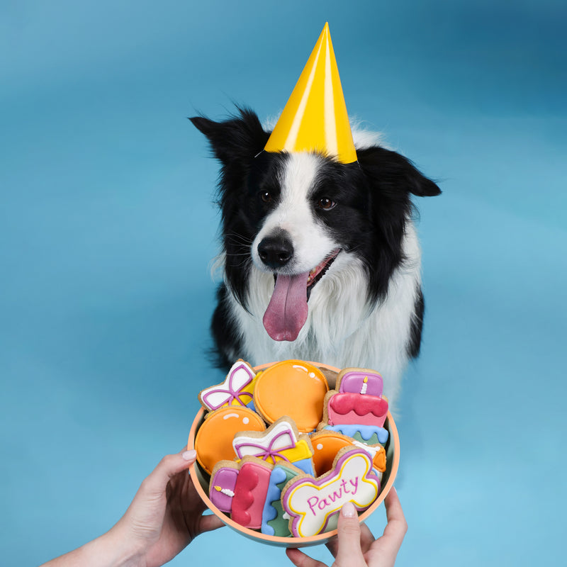 Happy Birthday Dog Treats