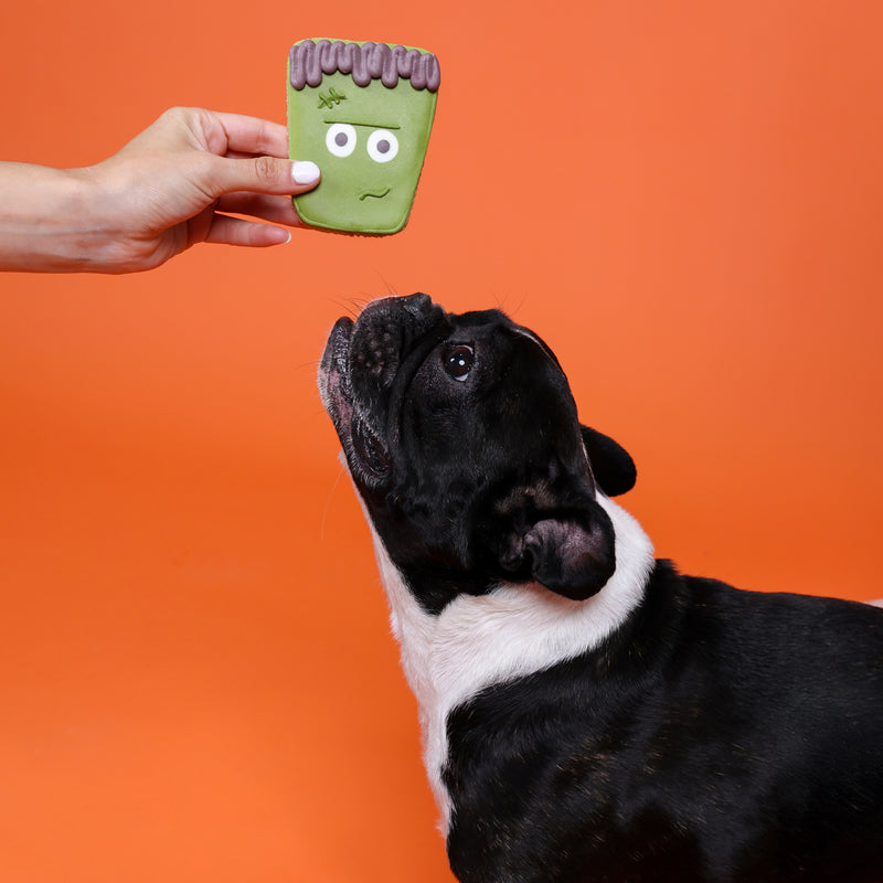 Halloween Dog Treats